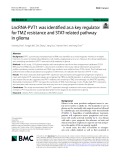 LncRNA-PVT1 was identified as a key regulator for TMZ resistance and STAT-related pathway in glioma