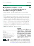 Matrigel-based organoid culture of malignant mesothelioma reproduces cisplatin sensitivity through CTR1