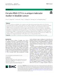 Circular RNA CCT3 is a unique molecular marker in bladder cancer