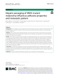 Hepatic passaging of NRAS-mutant melanoma influences adhesive properties and metastatic pattern