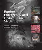 Ebook Equine emergency and critical care medicine: Part 1