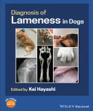 Ebook Diagnosis of lameness in dogs: Part 1