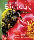 Ebook Essentials of biology (5/E): Part 2
