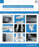 Ebook Diagnostic radiology in small animal practice (2/E): Part 1
