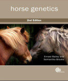 Ebook Horse genetics (2/E): Part 1