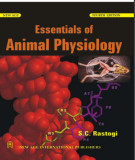 Ebook Essentials of animal physiology (4/E): Part 1