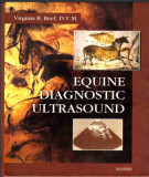 Ebook Equine diagnostic ultrasound: Part 2