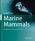 Ebook Marine mammals - Adaptations for an aquatic life: Part 2