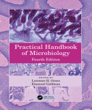 Ebook Practical handbook of microbiology (4/E): Part 3