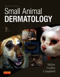 Ebook Small animal dermatology (7/E): Part 1