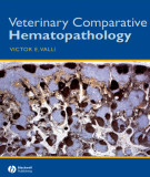 Ebook Veterinary comparative hematopathology: Part 1