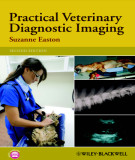 Ebook Practical veterinary diagnostic imaging (2/E): Part 2