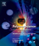 Ebook Polymer science: A comprehensive reference - Volume 6: Macromolecular architectures and soft nano-objects
