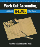 Ebook Work out accounting: A-level - Paul Stevens, Brian Kriefman