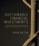 Ebook Sustainable financial investments: Maximizing corporate profits and long-term economic value creation