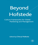 Ebook Beyond Hofstede: Culture frameworks for global marketing and management