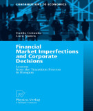 Ebook Financial market imperfections and corporate decisions: Lessons from the transition process in Hungary