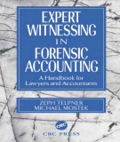 Ebook Expert witnessing in forensic accounting: A handbook for lawyers and accountants