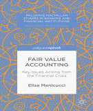 Ebook Fair value accounting: Key issues arising from the financial crisis - Elisa Menicucci