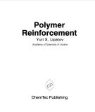 Ebook Polymer reinforcement - Yuri S. Lipatov