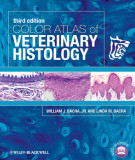 Ebook Color atlas of veterinary histology (3/E): Part 2