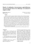 Results of combination of percutaneous nephrolithotomy and extracoporeal shock wave lithotripsy in treatment of staghorn calculi