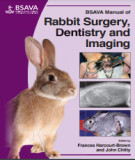 Ebook BSAVA manual of rabbit surgery, dentistry and imaging: Part 2