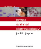 Ebook Notes on small animal dermatology: Part 2