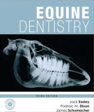 Ebook Equine dentistry (3/E): Part 1