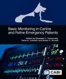Ebook Basic monitoring in canine and feline emergency patients: Part 2