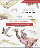 Ebook Avian anatomy - Textbook and colour atlas (2/E): Part 1