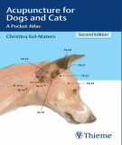Ebook Acupuncture for dogs and cats - A pocket atlas (2/E): Part 2