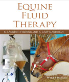 Ebook Equine fluid therapy: Part 2