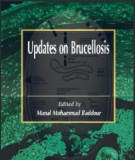 Ebook Updates on brucellosis: Part 1
