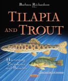 Ebook Tilapia and trout harvesting: Part 1