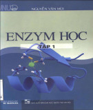 Ứng dụng Enzym học (Tập 1): Phần 1