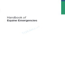 Ebook Handbook of equine emergencies: Part 1