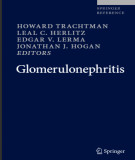 Ebook Glomerulonephritis (1/E): Part 1