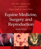 Ebook Equine medicine - Surgery and reproduction (2/E): Part 2