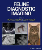 Ebook Feline diagnostic imaging: Part 2
