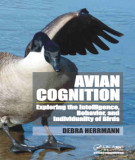 Ebook Avian cognition - Exploring the intelligence, behavior, and individuality of birds: Part 2