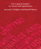 Ebook The capital market: Its nature and significance - Kenneth Midgley, Ronald Burns