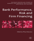 Ebook Bank performance, risk and firm financing: Part 1 - Philip Molyneux