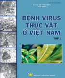 Phòng chống bệnh virus thực vật ở Việt Nam (Tập 2): Phần 2