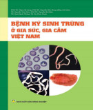 Một số bệnh ký sinh trùng ở gia súc, gia cầm và cách phòng trị tại Việt Nam: Phần 2
