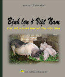 Các biện pháp phòng trị bệnh lợn ở Việt Nam hiệu quả: Phần 2