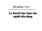 Bài giảng Kinh tế học vi mô dành cho chính sách công: Bài 5 - Lý thuyết lựa chọn của người tiêu dùng (2017)