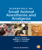 Ebook Essentials of small animal anesthesia and analgesia (2/E): Part 2