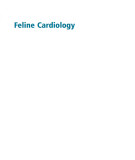 Ebook Feline cardiology: Part 2