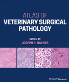 Ebook Atlas of veterinary surgical pathology: Part 1